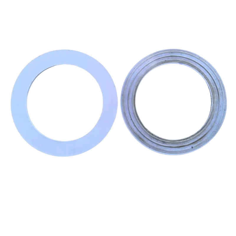 RPTFE Gasket